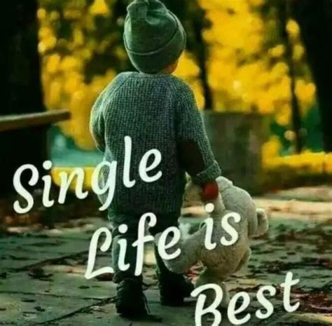 single life is best dp